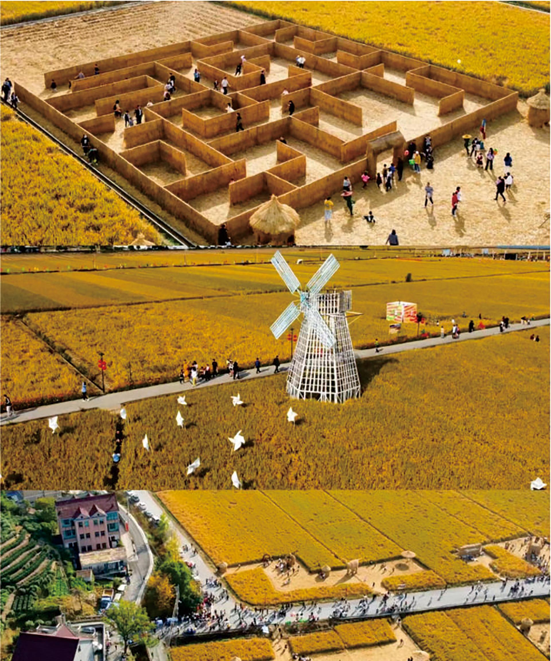 休閑農(nóng)業(yè)打造